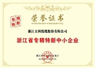 浙江省專精特新中小企業(yè)